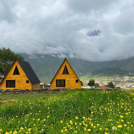 Pine Chalet Kazbegi Bagian luar foto
