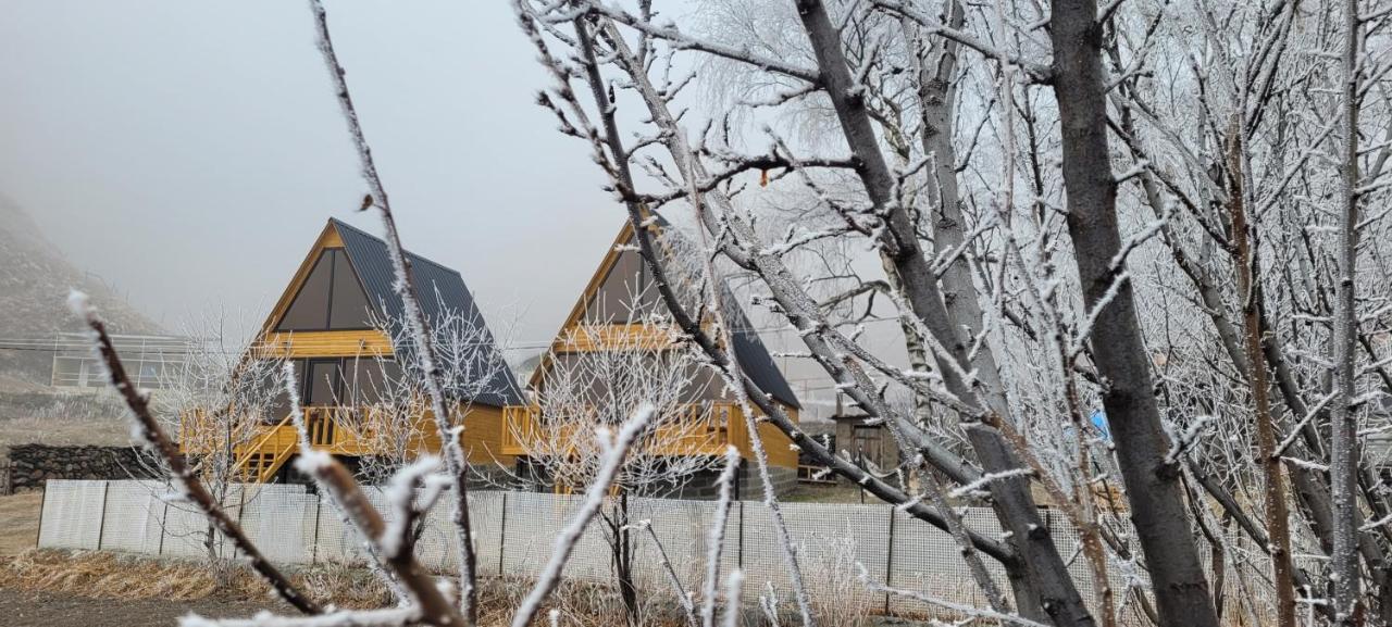 Pine Chalet Kazbegi Bagian luar foto