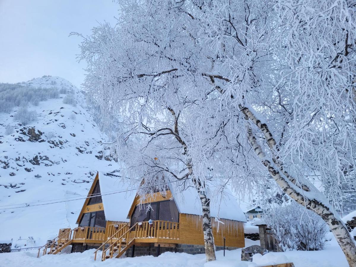 Pine Chalet Kazbegi Bagian luar foto