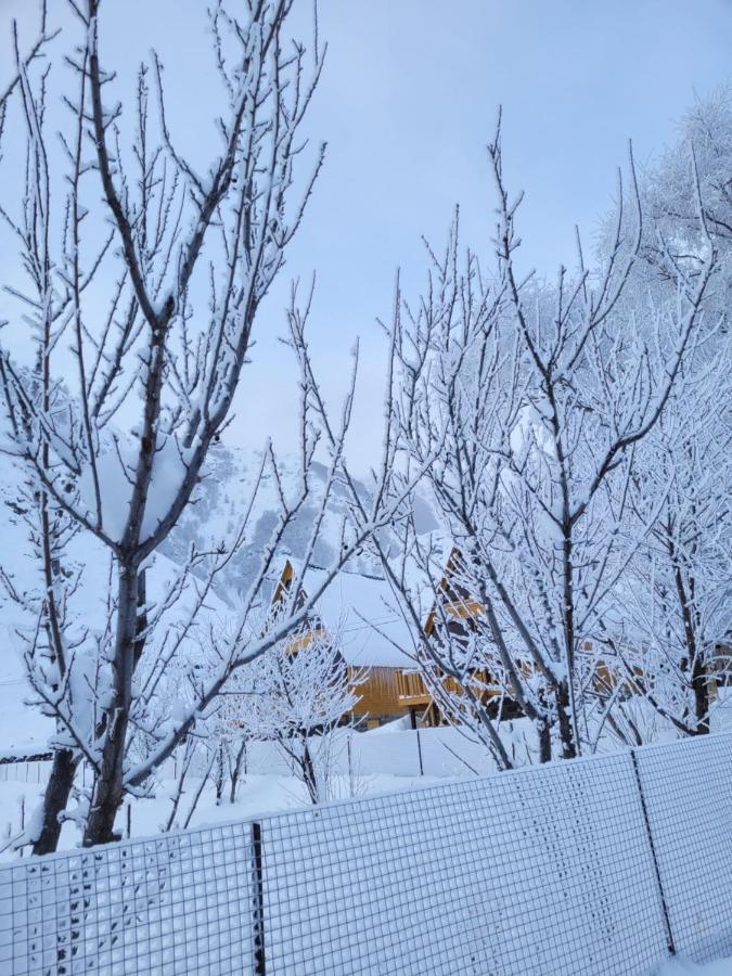 Pine Chalet Kazbegi Bagian luar foto