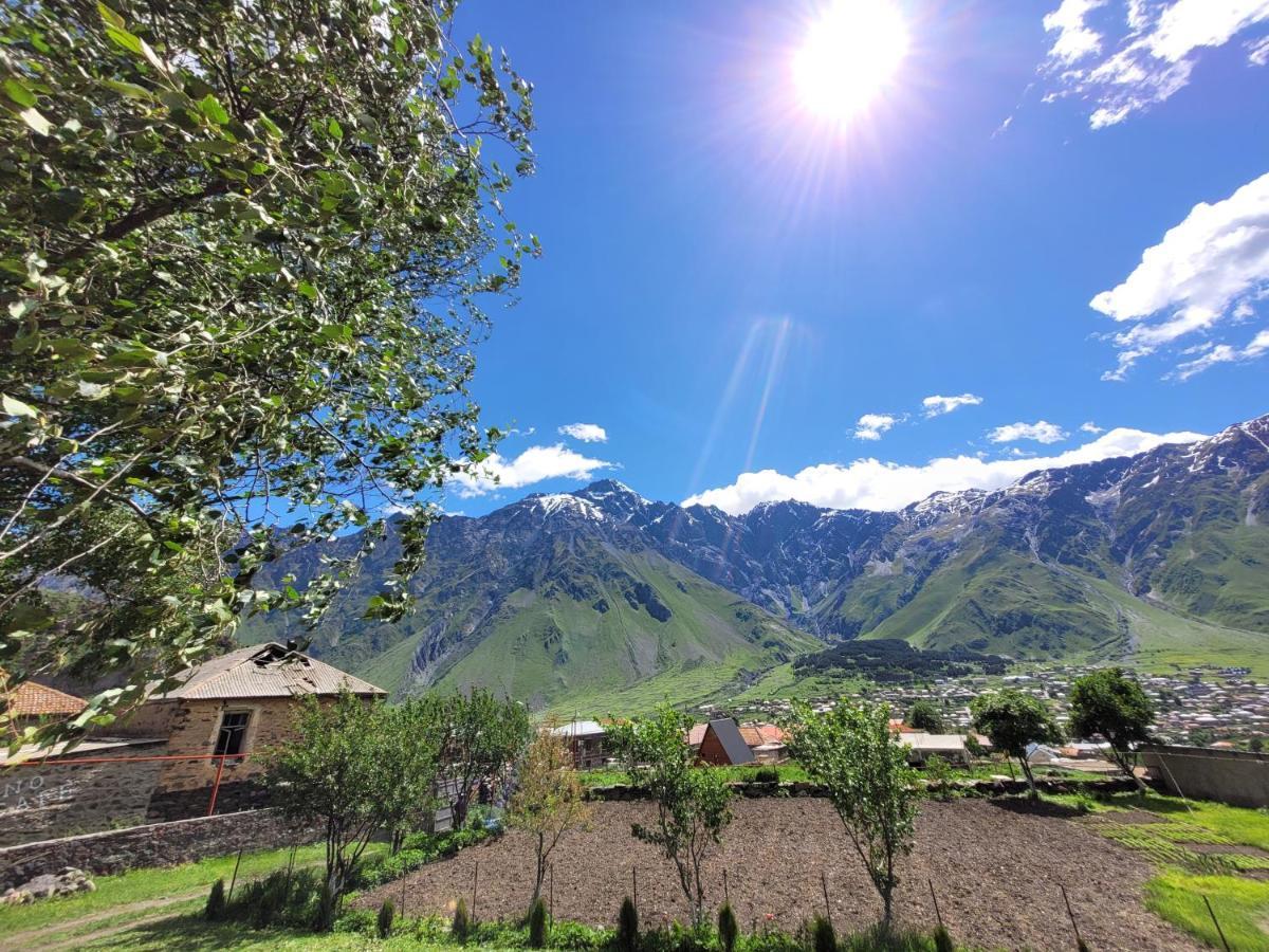 Pine Chalet Kazbegi Bagian luar foto